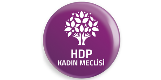 The AKP-MHP government blatantly attacks not only HDP but also womens will