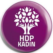 Kadın Meclisi Tanıtım