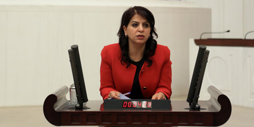 Sibel Yiğitalp: Muhtarlara uzun namlulu silahlarla eğitim vermek iç savaş hazırlığıdır