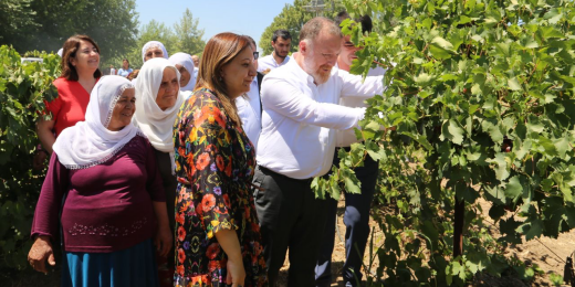 Temelli: Müteahhitlerin borçları bir kalemde siliniyor, çiftçinin borcu memleketin birinci sorunu haline getiriliyor
