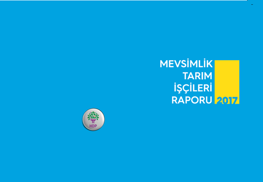 Mevsimlik Tarım İşçileri raporumuz