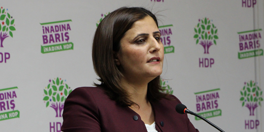 Kendisini HÖH Derneği Genel Başkanı olarak tanıtan Fatih Kayanın Hürriyete verdiği röportaja ilişkin önergemiz
