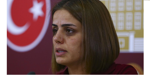 Ayşe Acar Başaran: Bütçe görüşmelerinde vekiller eliyle lince uğruyorum