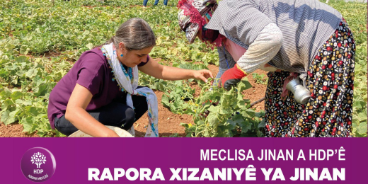 Rapora me ya Xizaniyê ya Jinan