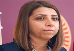 Aycan İrmezden askeri yetkililer hakkında suç duyurusu