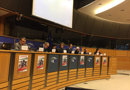 Baydemir Brükselde: Barış projesi HDP yok edilmek isteniyor