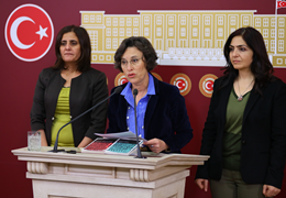 Kerestecioğlu: Devlet, barışı düşleyen Aslı Erdoğanı neden tehlikeli buldu?