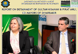 Report on Detainment of Diyarbakır Co-Mayors Gultan Kışanak and Fırat Anlı 