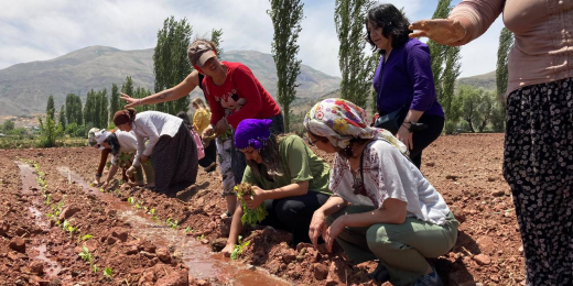 Kadın Meclisimiz tütün işçisi kadınlarla buluştu: Emeğimizin karşılığını alamıyoruz