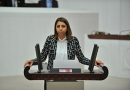 İrmez Silopide Evet bildirisi dağıtan polisleri Süleyman Soyluya sordu