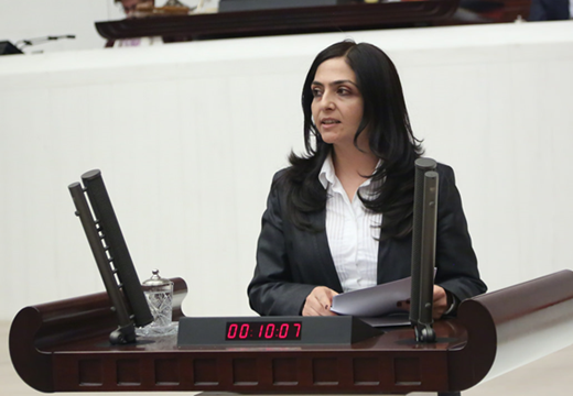 Özgökçe: Sürdürülebilir kalkınma için toplumsal cinsiyet eşitliği; hava gibi, su gibi