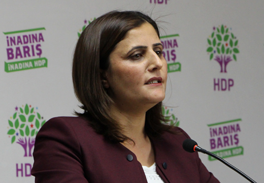 Taşdemir: Kadınlara baktığında sadece üreme makineleri gören yaklaşım kadınlara haksızlıktır