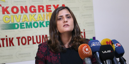 Taşdemir: Em van polîtîkayên mêtingeriyê ji qeyûman dizanin