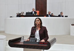 Taşdemir: Yıllarca vaatlerini cebine koyan AKP, Ağrı Belediyesini kaybettiği için kayyum atadı