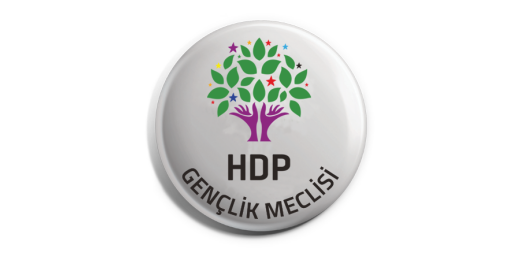 Tecrit derinleştirilirken gençlere geleceksizlik ve katliamlar reva görülüyor