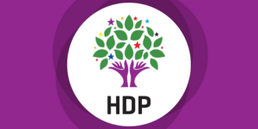 Kadınlara yönelik saldırılar kayyım rejiminin devamıdır, eşbaşkanlık sistemimize yöneliktir
