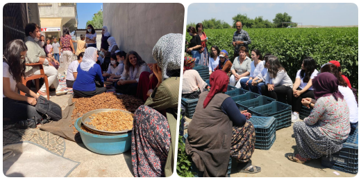 Kadın Meclisimiz Adana’da: Bir günlük emeğimizle sadece yağ alabiliyoruz