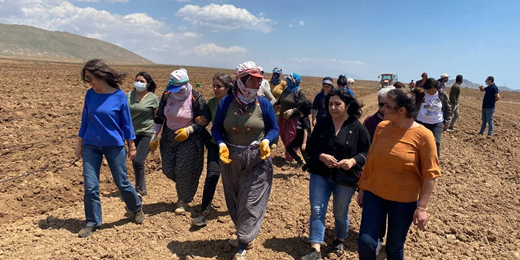 Kadın Meclisimiz Bitlis’te: Günde 80 lira ile geçinemiyoruz