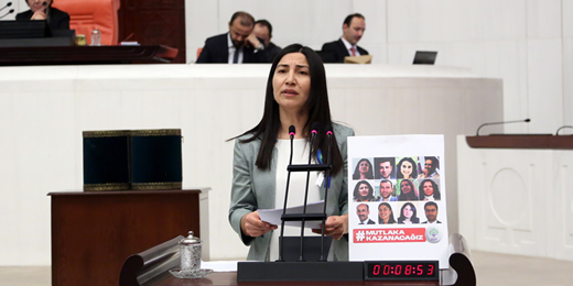 Birlikten Soyluya, anadili hakkı ve Kürtçeye yönelik baskılara ilişkin Kürtçe ve Türkçe önerge