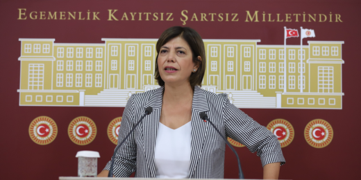 Beştaş: Terörle mücadele adı altında ormanlar yakılıyor