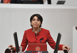 Batman Milletvekilimiz Saadet Becereklinin IŞİD tarafından yakılan askerlerle ilgili soru önergesi.