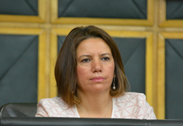 Selma Irmakın önergesi