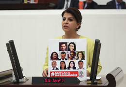 Sibel Yiğitalp: Sağlıksızlığı yaratan, Sağlık Bakanlığı