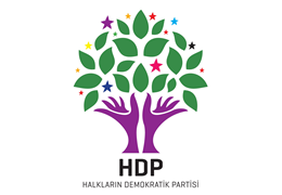 Information note: Police operation against HDP advisors