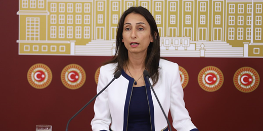 Hatimoğulları: Afrin’den çalınarak ticareti yapılan o zeytinleri halk yetiştiriyor